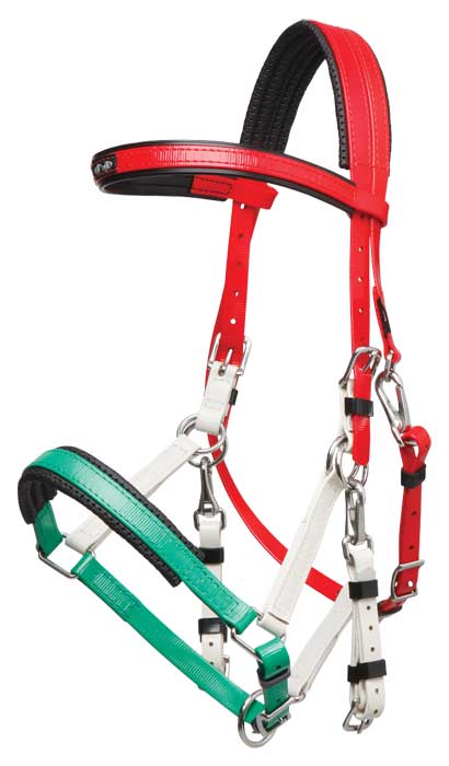 Zilco Marathon Bridle – Red/White/Green