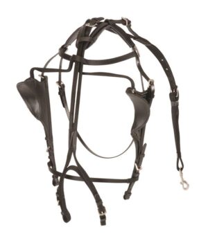 Feather-Weight Beta & Nylon Kant See Back Bridle
