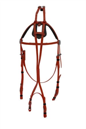 Star-Tack Open Bridle