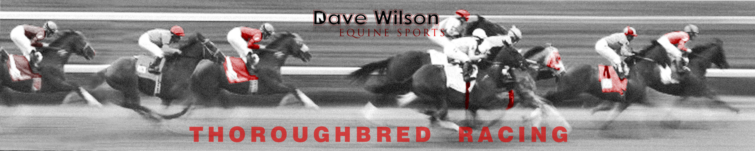 BRIDLES & REINS Archives - Dave Wilson Equine SportsDave Wilson Equine  Sports